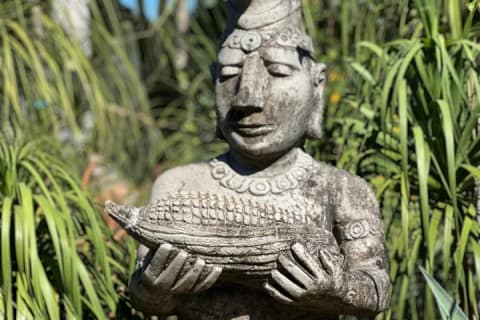 Visite d'une demi-journée du Jardin botanique de Puerto Vallarta — photo 7
