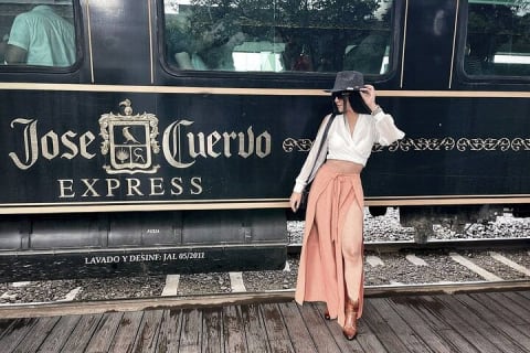 Excursión a Tequila desde Guadalajara en el tren Jose Cuervo Express — photo 1