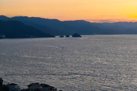 Private Tour of Puerto Vallarta and the Subtropical Forest — photo 12