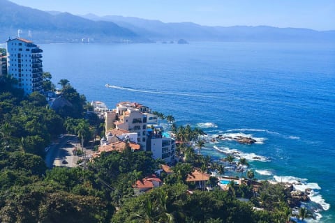 Private Tour of Puerto Vallarta and the Subtropical Forest — photo 13