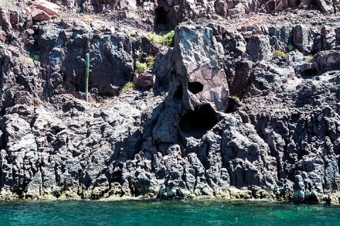 Excursion à l'île Espiritu Santo et à Balandra — photo 1