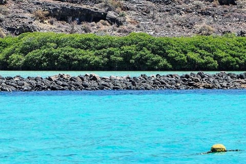 Excursion à l'île Espiritu Santo et à Balandra — photo 4