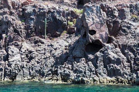 Excursion à l'île Espiritu Santo et à Balandra — photo 6