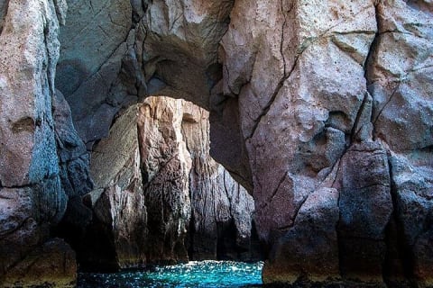 Excursion à l'île Espiritu Santo et à Balandra — photo 8