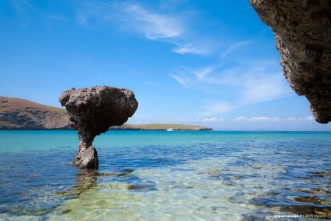 Visite de La Paz avec la plage de Balandra et le Pueblo Mágico de Todos Santos — photo 3