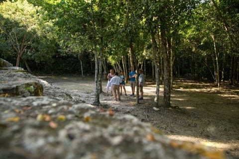 Private Coba Express — photo 7