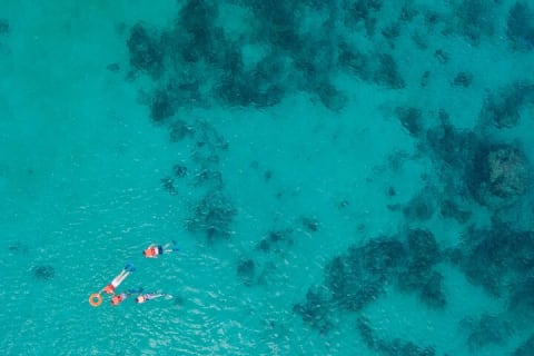 Cancun: Sea turtles and Cenote Tour With Pick Up from your Hotel — photo 6