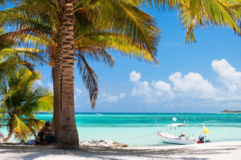 Cancun: Sea turtles and Cenote Tour With Pick Up from your Hotel — photo 2