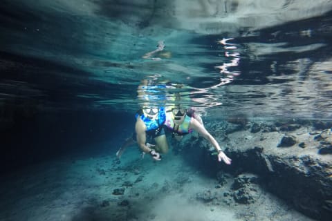 Snorkeling with Sea Turtles and Cenote Adventure — photo 2