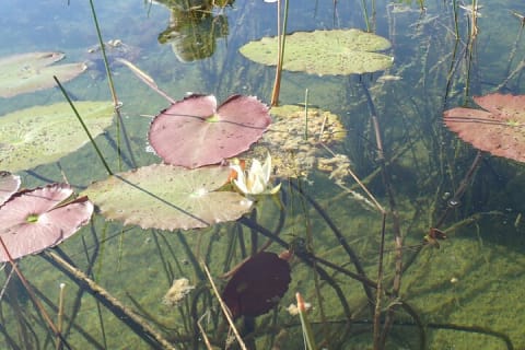 Mayaking. A Journey Through the Heart of the Sian Kaan Biosphere — photo 7