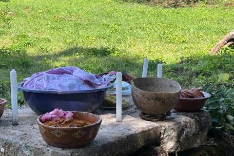 Chichen Itza Mayan Flavors and Jungle at Hacienda Privada with Cenote — photo 10
