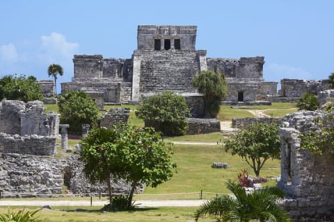 Tulum highlights tour, Cenote & Jungle Village pick up included — photo 11