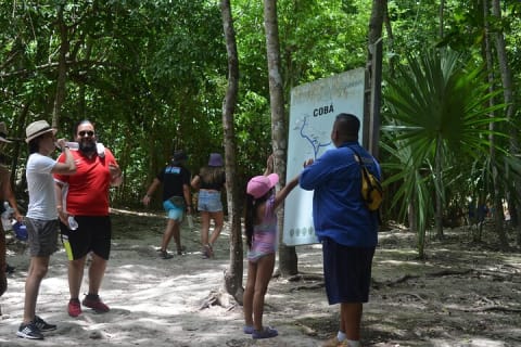 TULUM 4x1 : Archaeological Site, Cenote, 5th Avenue and lunch — photo 6
