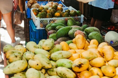 Visite des marchés de Mérida : saveurs, couleurs et traditions — photo 7