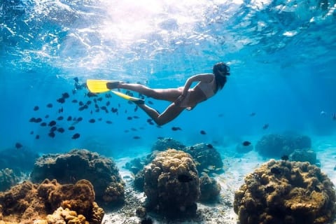 Conoce la famosa Playa Escondida en lancha rápida con snorkel — photo 6
