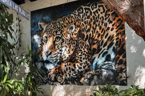 Le cœur historique caché de Puerto Vallarta — photo 12