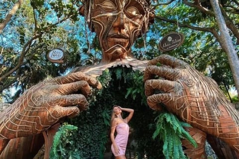 Mother Nature Tour, Turtle House and Tulum All Inclusive — photo 2