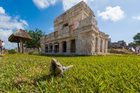 Private Chichen Itza, Coba and Tulum All in one — photo 6