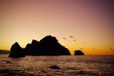 Sunset and Bioluminescence Boat Tour at Los Arcos Islands — photo 7