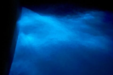 Sunset and Bioluminescence Boat Tour at Los Arcos Islands — photo 9