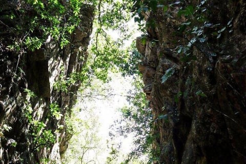 Aventura de senderismo en la selva y baño en cascada. Ecoparque Nogalito — photo 5