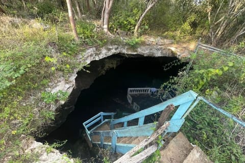 From Mérida: Explore 4 Rural Cenotes & Enjoy a Traditional Lunch — photo 8