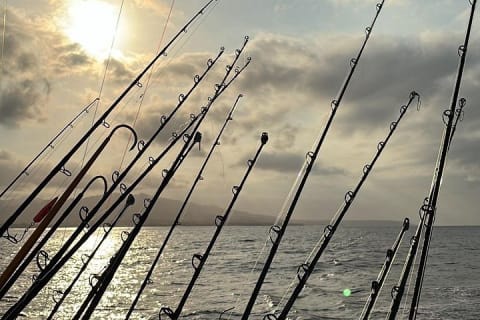 Private Fishing Charter in Puerto Vallarta for up to 6 people — photo 13