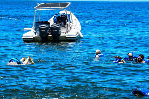 Yelapa Adventure and Snorkeling Escape in Puerto Vallarta — photo 3