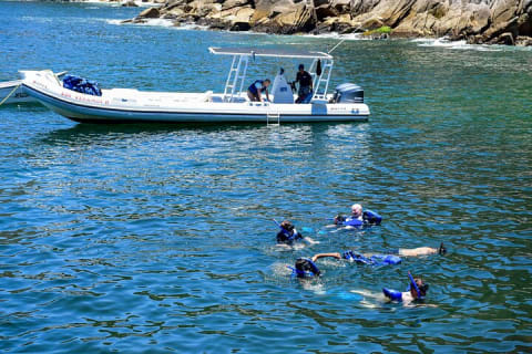 Yelapa Adventure and Snorkeling Escape in Puerto Vallarta — photo 5