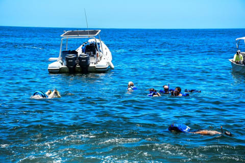 Yelapa Adventure and Snorkeling Escape in Puerto Vallarta — photo 7