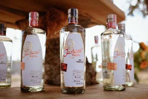 Cata de tequila Cachasol y recorrido por la destilería de raicilla — photo 4
