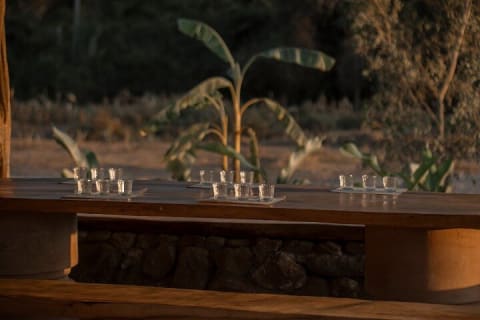 Cata de tequila Cachasol y recorrido por la destilería de raicilla — photo 10