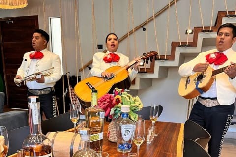 Experience of Tequila and Mezcal — photo 1