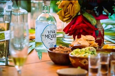 Experience of Tequila and Mezcal — photo 6