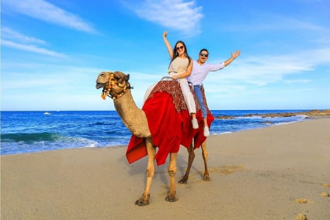 Balade à dos de chameau sur la plage et Sky Bike à Cabo — photo 5