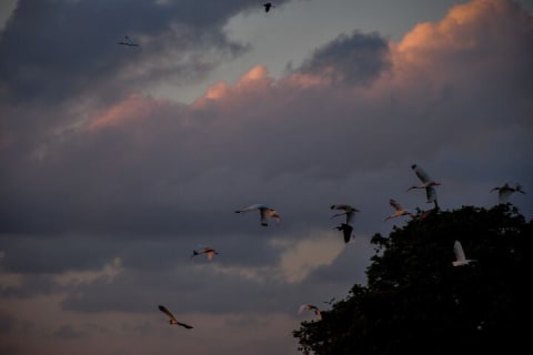 Breathtaking Sunset at Sian Ka'an — photo 15