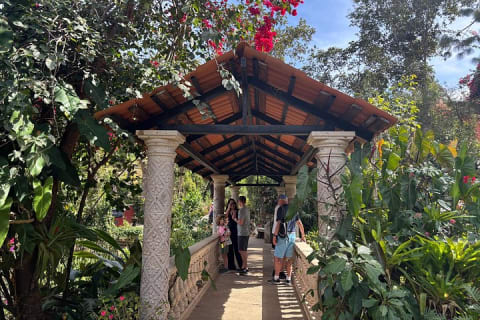 Private Tour: Botanical Garden & Petroglyphs — photo 2