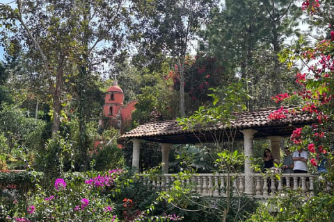 Private Tour: Botanical Garden & Petroglyphs — photo 1
