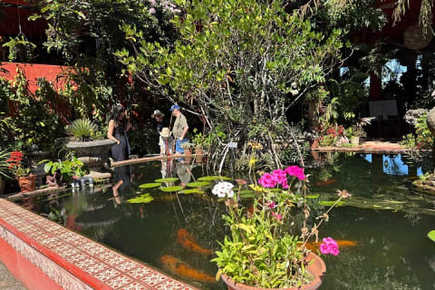 Private Tour: Botanical Garden & Petroglyphs — photo 4