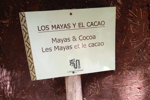 Uxmal, Kabah and Chocolate Museum Tour from Mérida — photo 12
