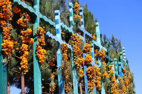 Day of the Dead in the Indigenous Towns of Chiapas — photo 14