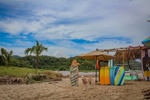 Excursión de un día a Sayulita y San Pancho desde Puerto Vallarta — photo 3
