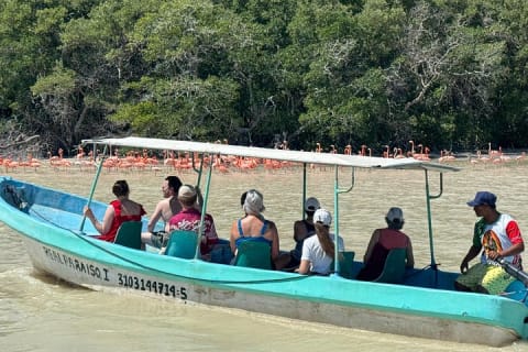 Paseo en lancha por los manglares de Celestún y playa desde Mérida — photo 13