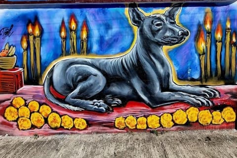 Recorrido a pie por el cementerio en Día de Muertos en Puerto Vallarta — photo 4