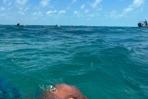 4 in 1 Experience in Tulum — photo 7