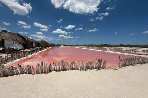 Excursion Couleurs du Yucatán : lacs roses, cenote et plage depuis Mérida — photo 4
