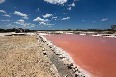 Excursion Couleurs du Yucatán : lacs roses, cenote et plage depuis Mérida — photo 10