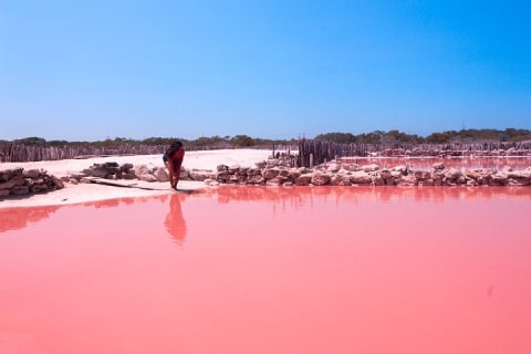 Excursion Couleurs du Yucatán : lacs roses, cenote et plage depuis Mérida — photo 1