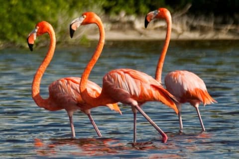 Excursion Couleurs du Yucatán : lacs roses, cenote et plage depuis Mérida — photo 12