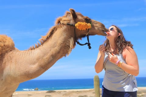 Aventure en UTV sur la plage avec balade gratuite à dos de chameau et à cheval — photo 6